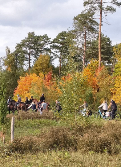 Foto rij 2 - 1