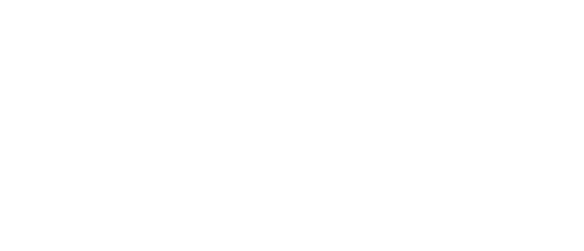 reizen Joye