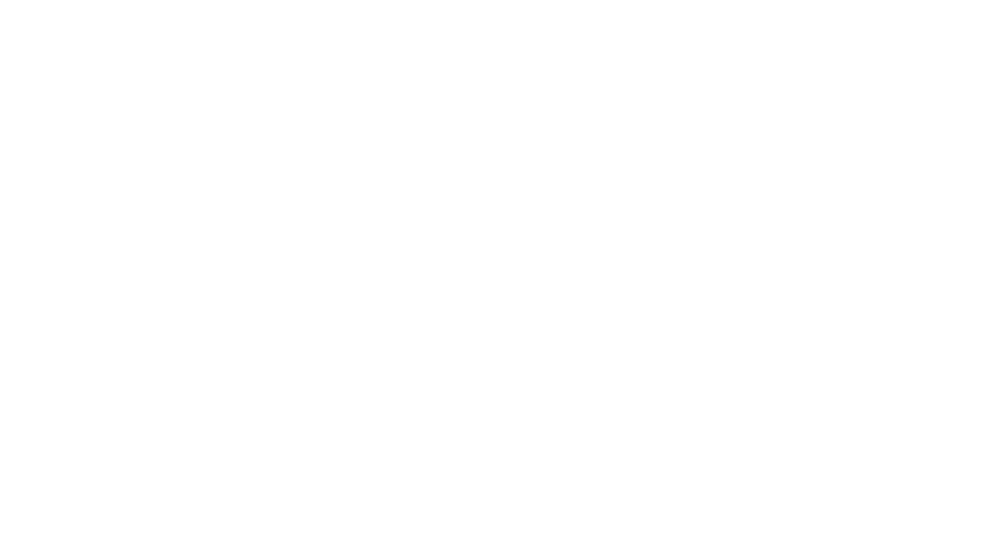 Van nieuwenborgh interieur