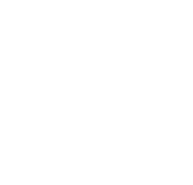 Willaert